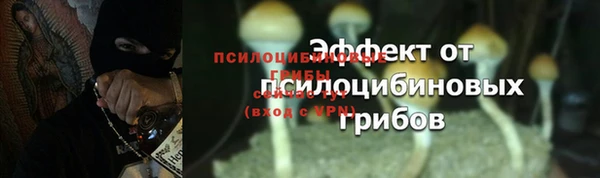первитин Богородицк